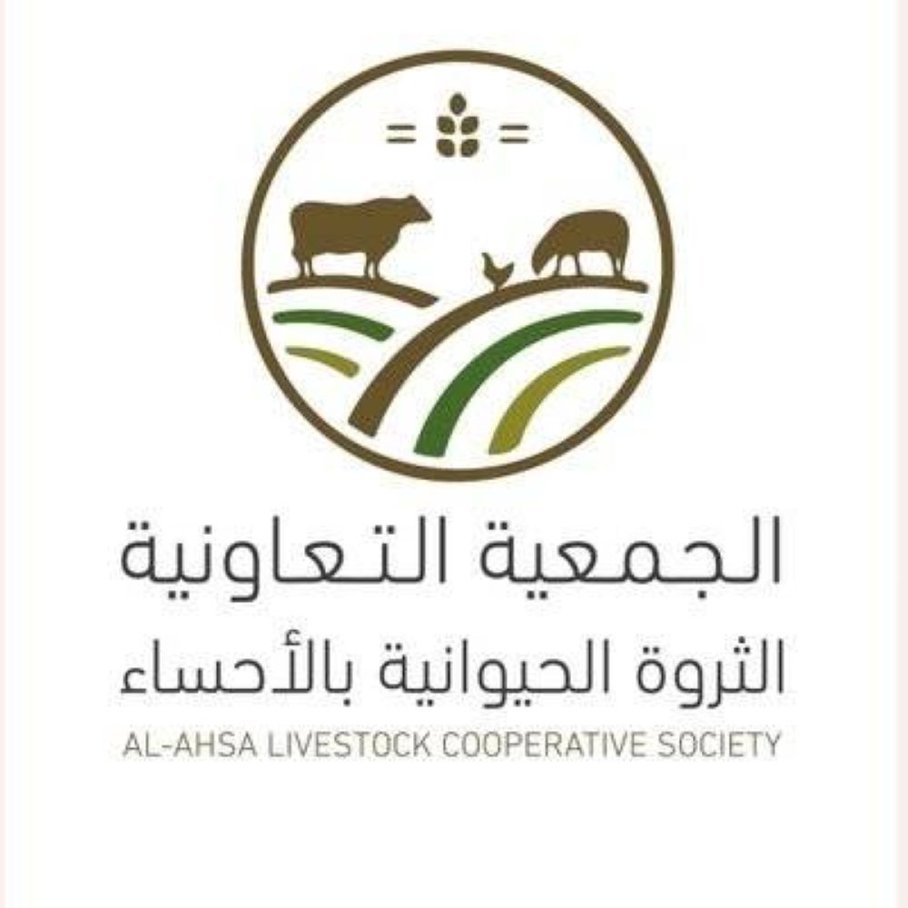 635 مربيا في أول رابطة لضأن البربر الصنف