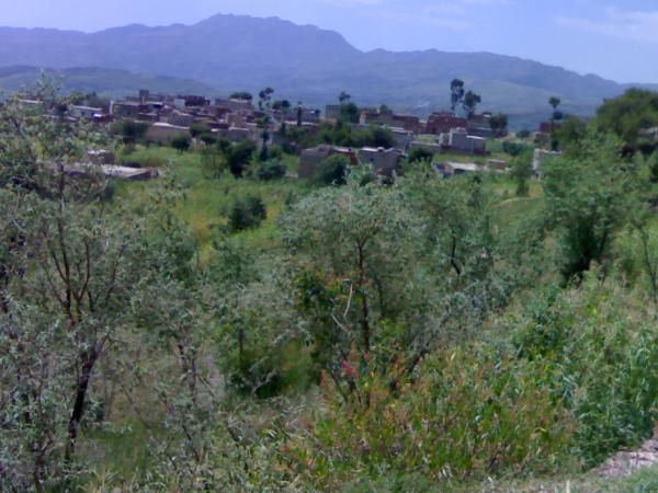 مليشيا الحوثي تستولي بالقوة على مركز للسلفيين في ريف إب