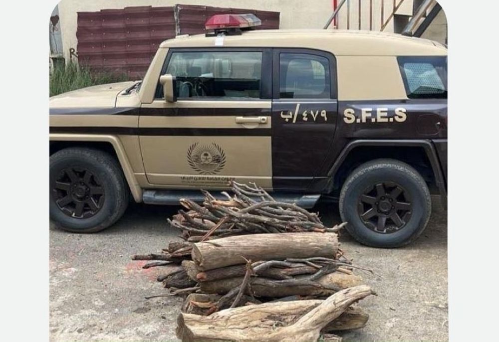 "الداخلية": نتابع نشاطات بيع أو نقل الحطب المحلي داخل المدن والمحافظات