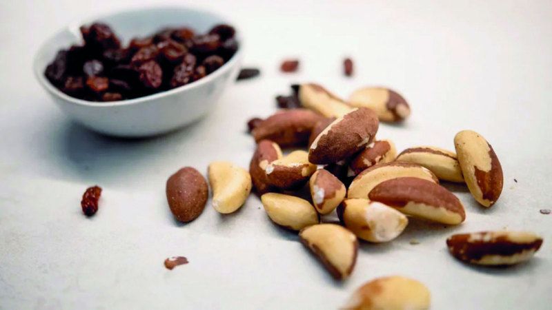 الامارات | معدن في الجوز البرازيلي قد يقود إلى علاجات جديدة توقف انتشار سرطان الثدي