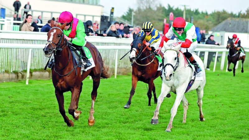 الامارات | المهرة «هيبيكينادا» تحرز لقب كأس الوثبة في لندن