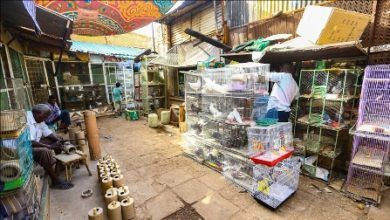 عودة الروح إلى سوق أم درمان