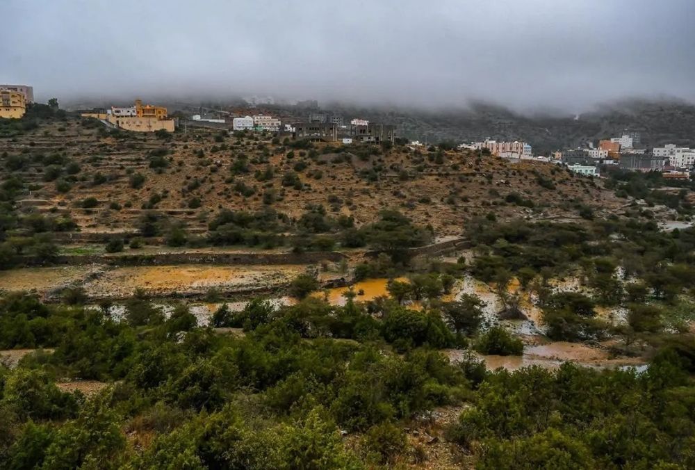 الأمطار.. سبائك فضية تتلألأ وترسم لوحة جمالية في الباحة