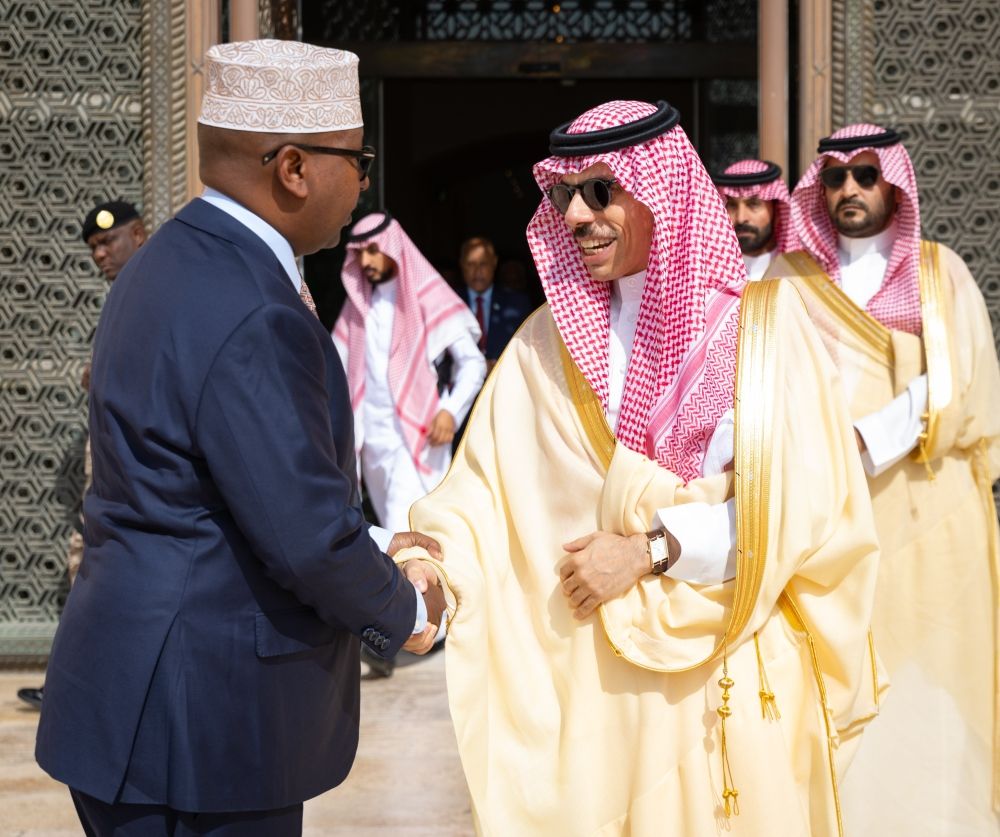 وزير الخارجية يبحث مع نظيره الصومالي سبل التعاون بين البلدين