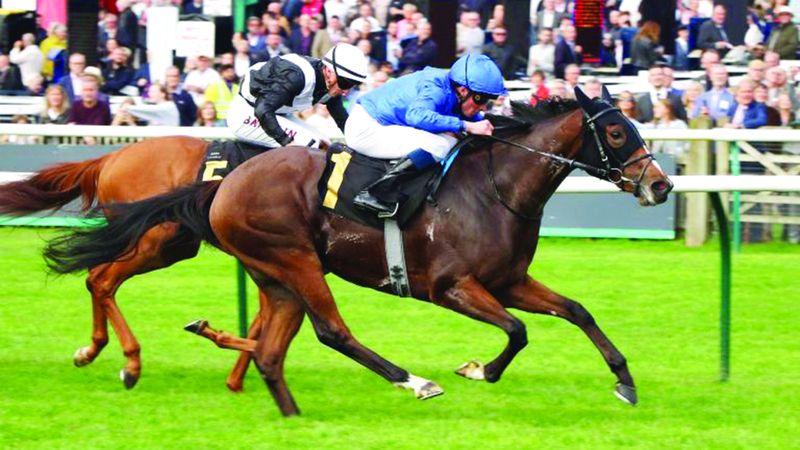 الامارات | مهرات «غودولفين» تطارد الألقاب بمضمار «سان كلو» الفرنسي