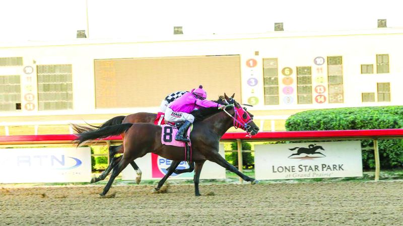 الامارات | «وما أطلس» بطل كأس الوثبة في أميركا