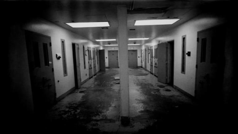 "لجذب المشاهدين وكسب المال".. تصرف صادم من بلوجر في بث مباشر