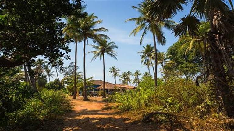 قرية تظهر مرة واحدة فقط كل عام- 10 صور تكشف مفأجاة