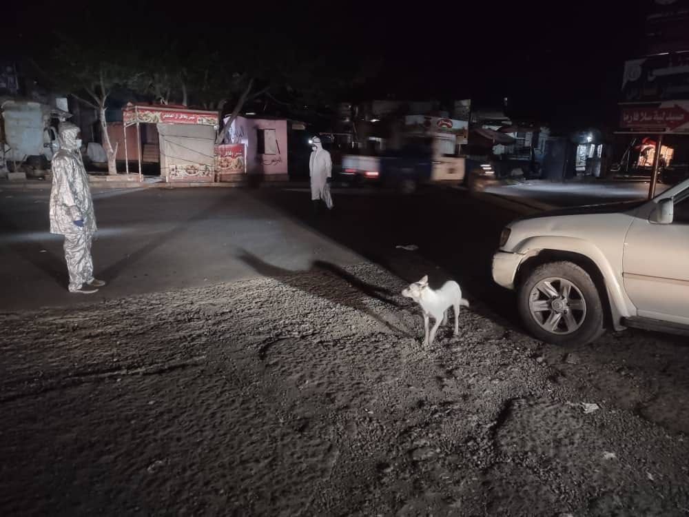 تعز.. صندوق النظافة ينفذ حملة واسعة للقضاء على الكلاب المسعورة بالمدينة