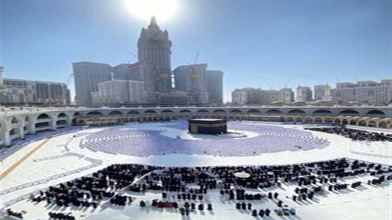 حمامة طريفة تخطف نظارة مصلٍ بالحرم المكي (فيديو)