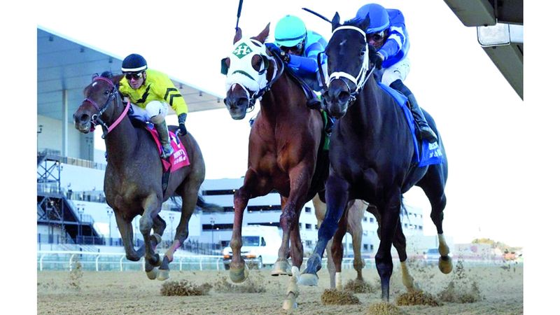 الامارات | «طريفة» بطلة «ماذر غوس ستيكس» الأميركي