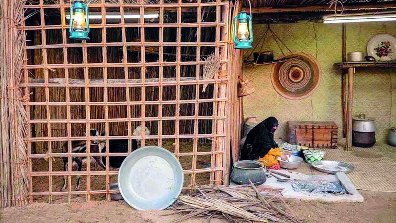 الامارات | «بيوت العريش».. ذكريات الطيبين تحت ظلال الشجرة الأم