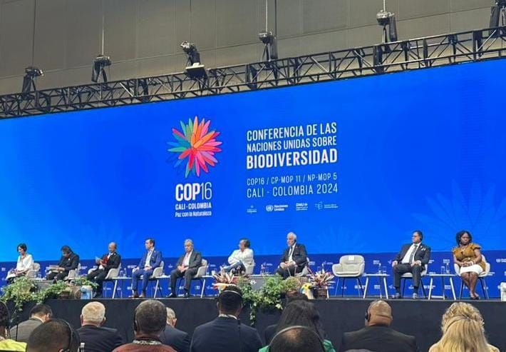 وزيرة البيئة تدعو المجتمع الدولي في تحقيق شعار السلام مع الطبيعة