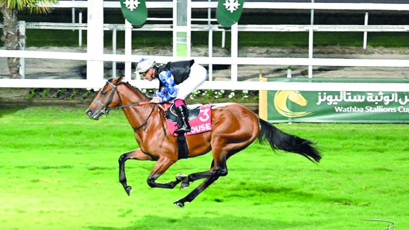 الامارات | «كأس زايد» للخيول العربية تنطلق اليوم في تولوز