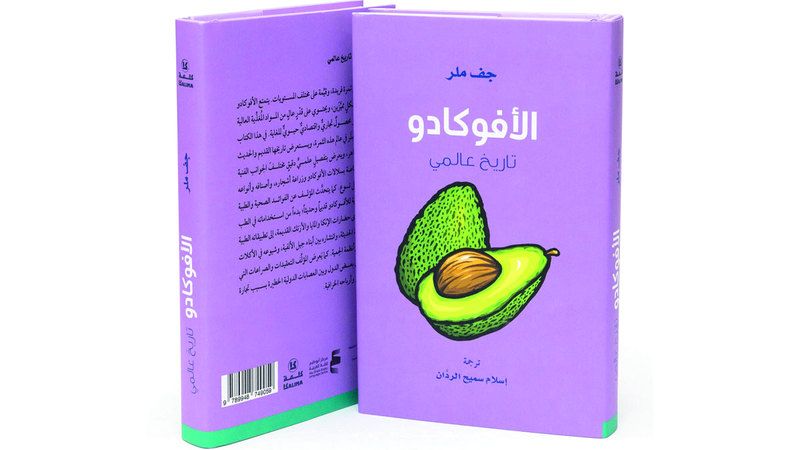 الامارات | «الأفوكادو».. رحلة مع الثمرة «الهدية»