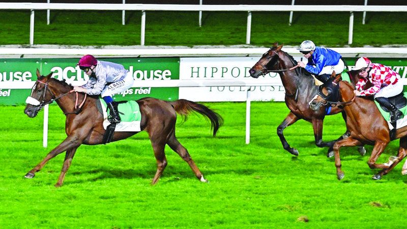 الامارات | «نور الموري» بطلة «كأس زايد» للخيول العربية في فرنسا