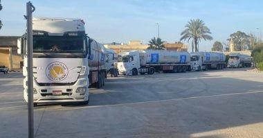 تعرف على مبيعات الشاحنات المجمعة محليا والمستوردة خلال 7 أشهر فى 2024