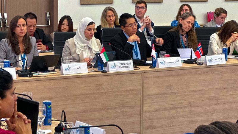 الامارات | سارة الأميري تترأس «وفد التعليم» إلى البرازيل