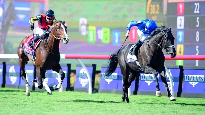 الامارات | «ريبلز رومانس» يصنع التاريخ في سباق «بريدرز كب تيرف»