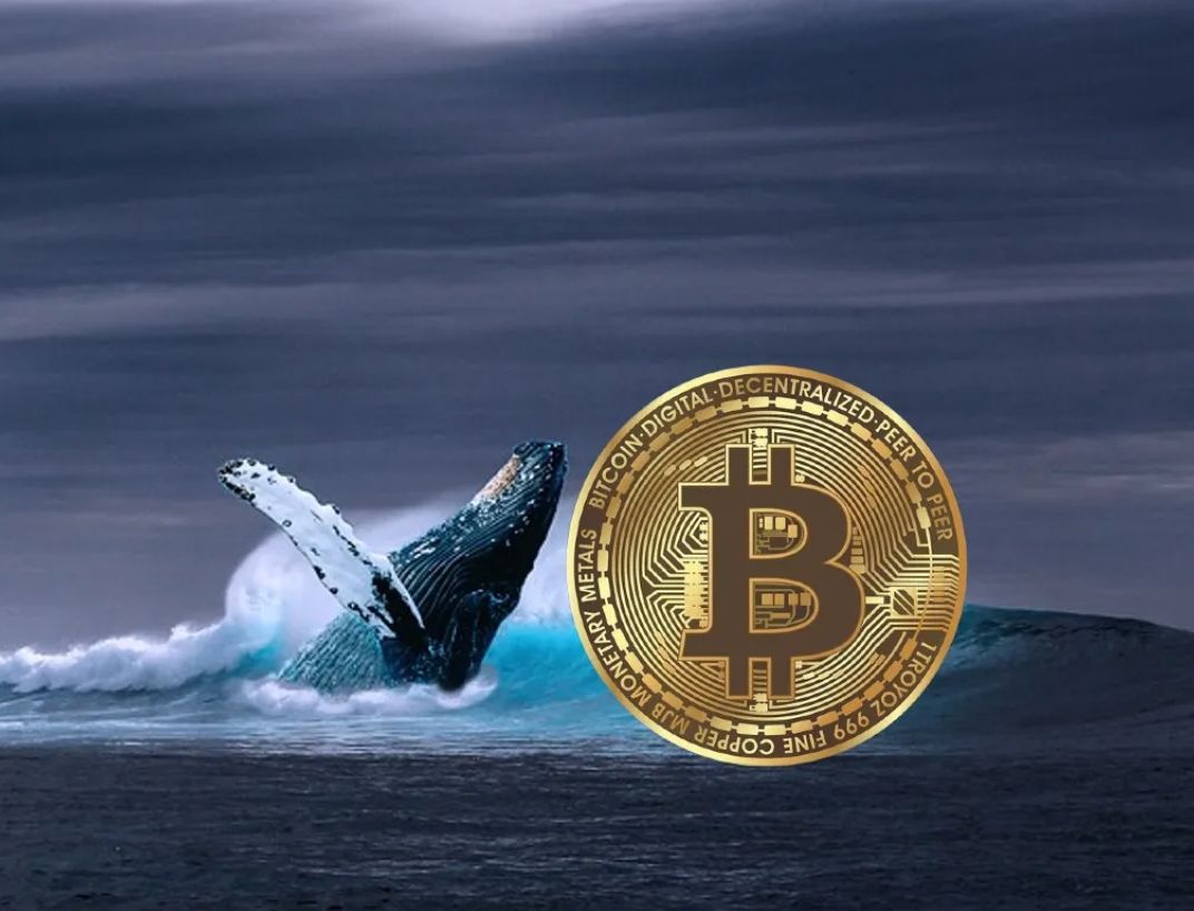 حوت بيتكوين يسحب مبلغ معتبر من منصة “بايبت” تزامنا مع تقلبات السوق