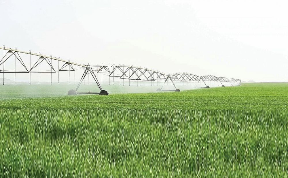 "البيئة" تحذر من بيع مخططات على أراضٍ زراعية دون موافقتها