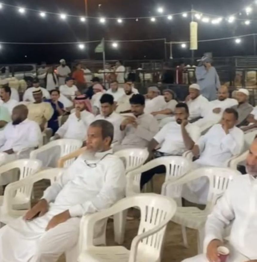 ورش تثقيفية بمكة للتوعية بأسباب إجهاض الماشية والحفاظ على سلامة الحيوانات