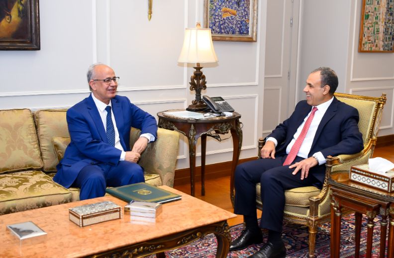 وزير الخارجية يتسلم رسالة من رئيس موريتانيا للرئيس السيسي
