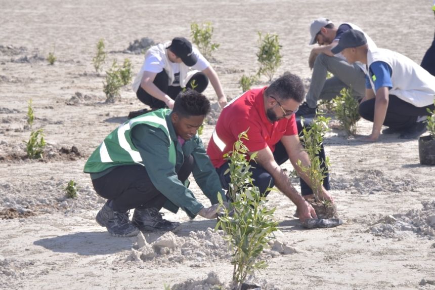 صور| "الغطاء النباتي" لـ"اليوم": هدفنا زراعة 400 مليون شتلة مانجروف بحلول 2030