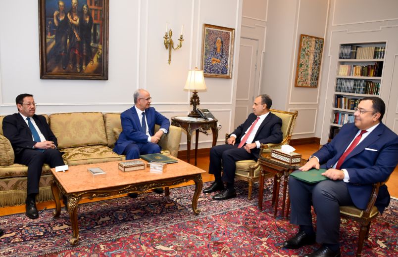 وزير الخارجية يتسلم رسالة من رئيس موريتانيا للرئيس السيسي