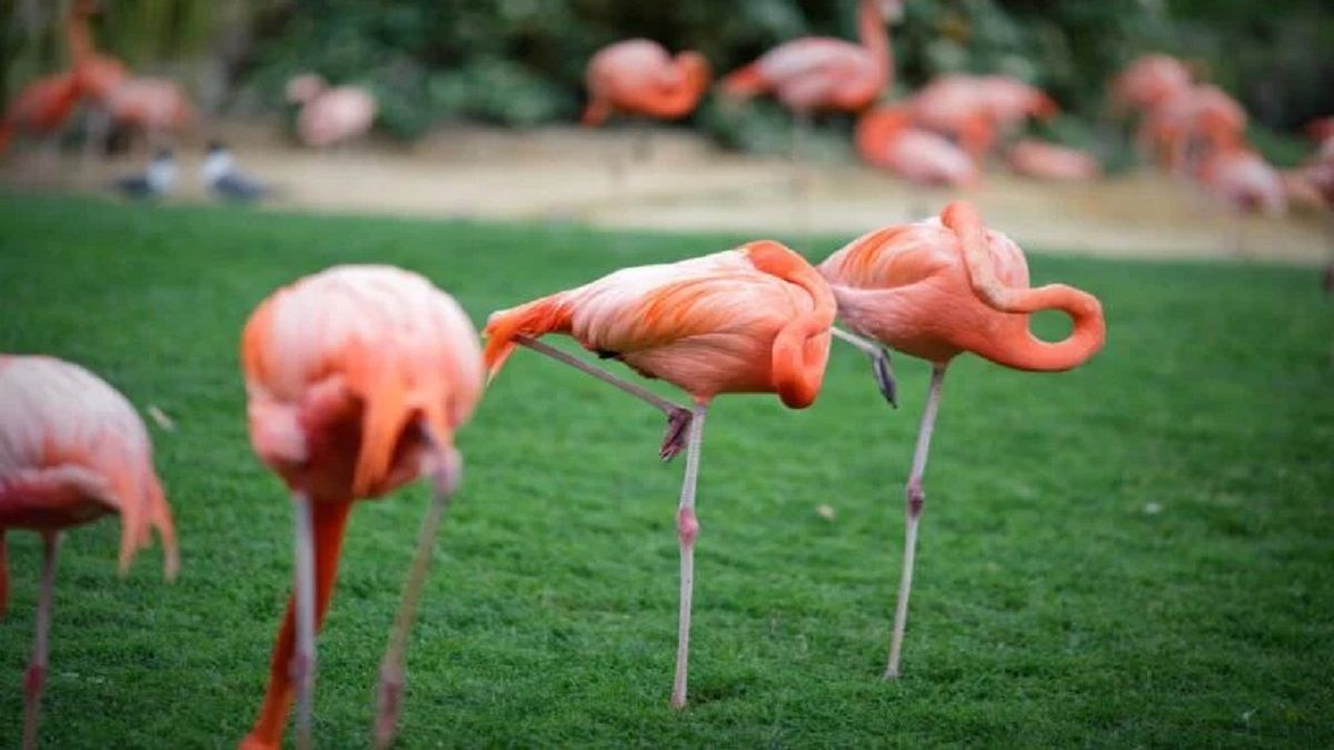 الامارات | هل تريد معرفة مدى تقدمك في العمر؟.. إن استطعت هذه الحركة لـ30 ثانية فأنت بخير