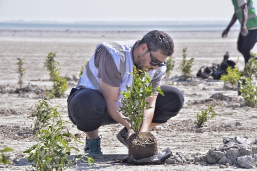 صور| "الغطاء النباتي" لـ"اليوم": هدفنا زراعة 400 مليون شتلة مانجروف بحلول 2030