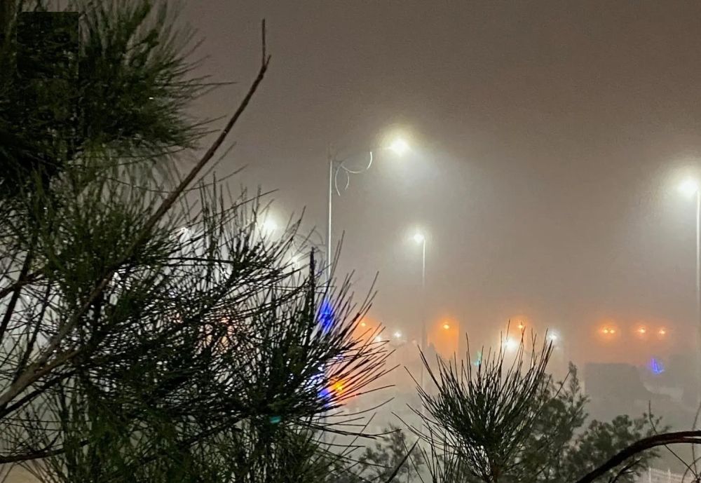 حتى 8 صباحًا..  ضباب من خفيف إلى متوسط على أجزاء من 6 مناطق