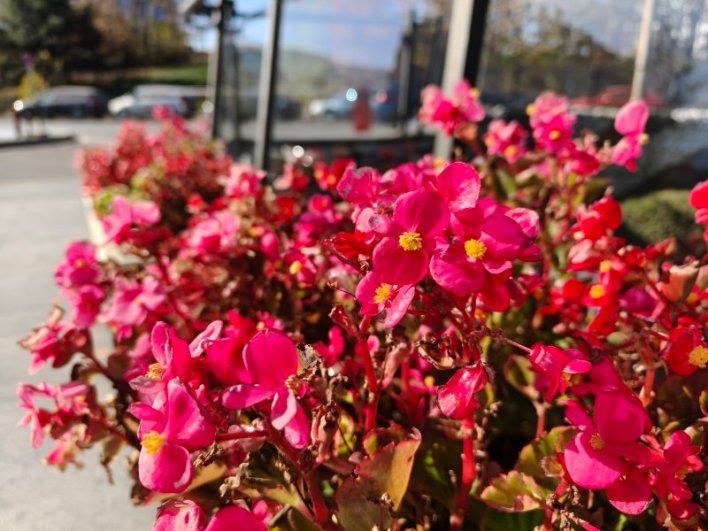 تكنولوجيا: صور توضح آداء الكاميرة المميزة لهاتف Oppo Find X8