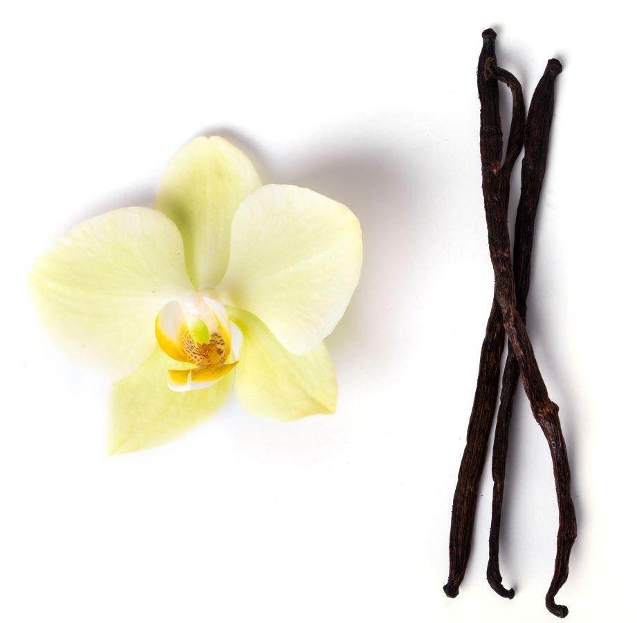 عطرك يعبر عن شخصيتك.. إليك ما يجب أن تعرفيه عن العطور