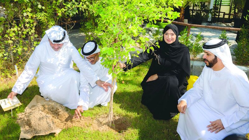 الامارات | توزيع مليون شتلة على منازل مواطنين وجهات ومدارس في الدولة