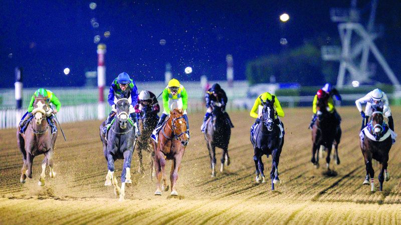 الامارات | 87 خيلاً تتنافس في الأمسية الافتتاحية لموسم سباقات «ميدان»