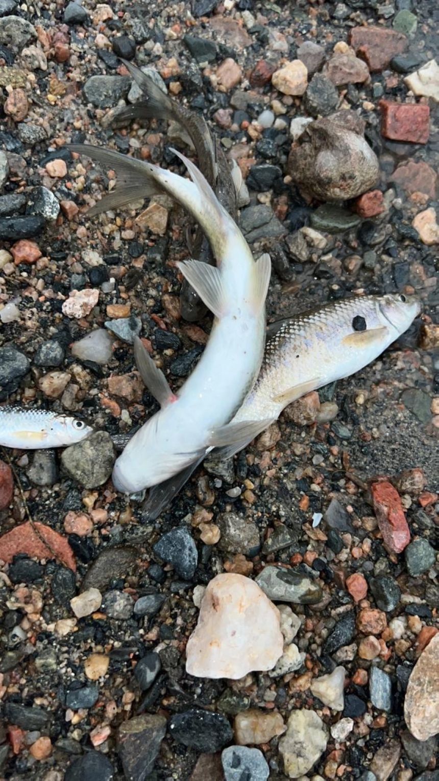 ​​​​​​​مشروع بحثي يستكشف التنوع البيولوجي في وادي العرج بالطائف