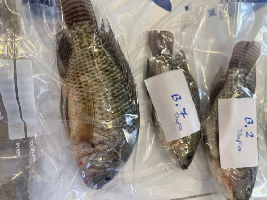 ​​​​​​​مشروع بحثي يستكشف التنوع البيولوجي في وادي العرج بالطائف