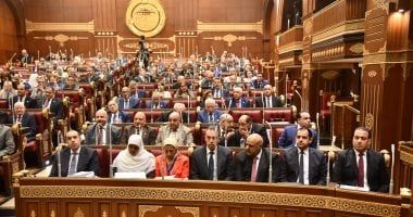 غدا.. مجلس الشيوخ يناقش 4 طلبات موجهة لوزير العمل