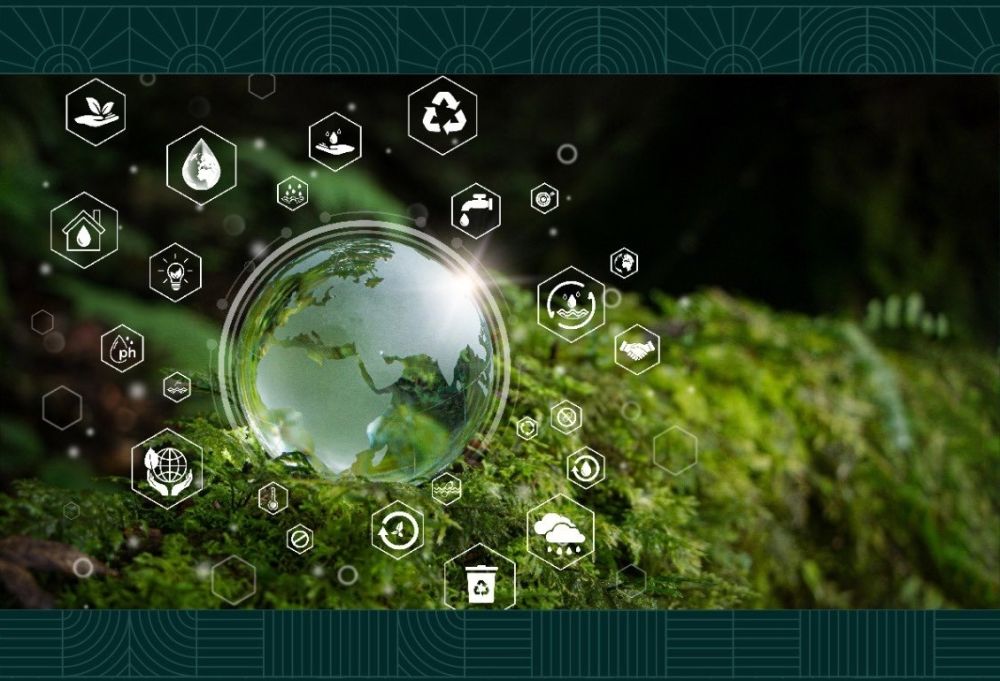 جوائزها 70 ألف دولار.. جناح العلوم في COP 16 يطلق مسابقة المبتكرين الشباب