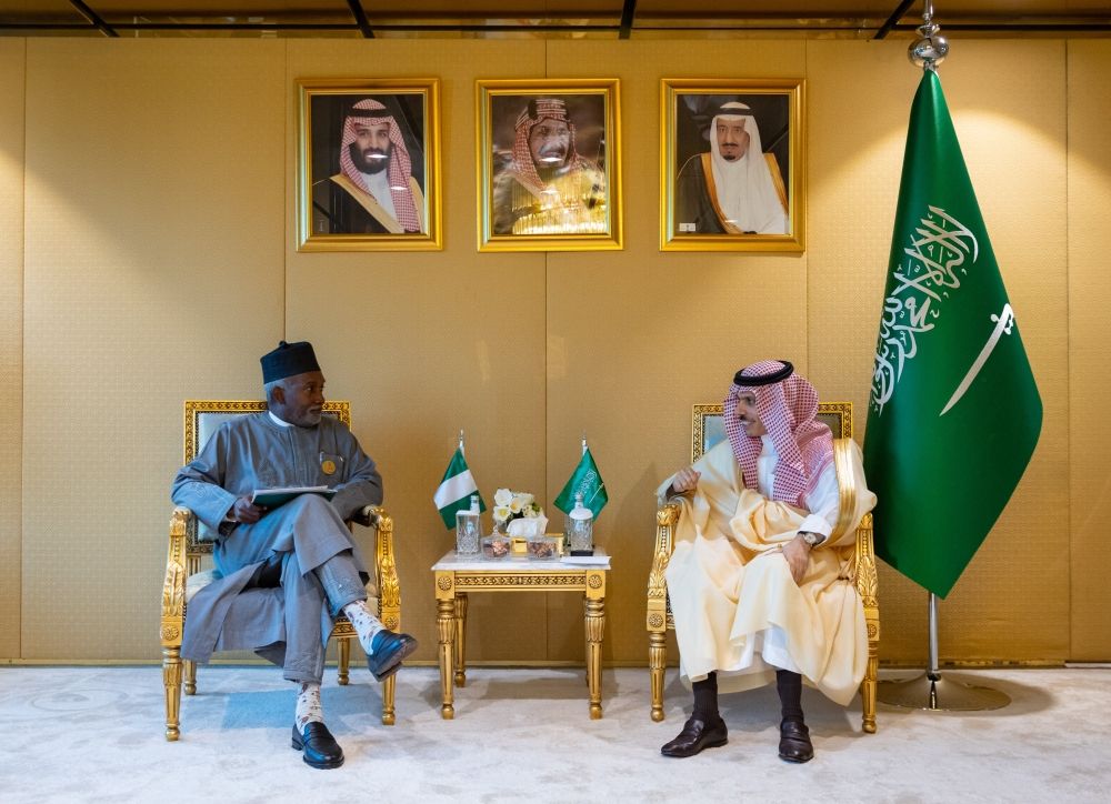 وزير الخارجية يناقش القضايا الإقليمية والدولية مع نظيره النيجيري