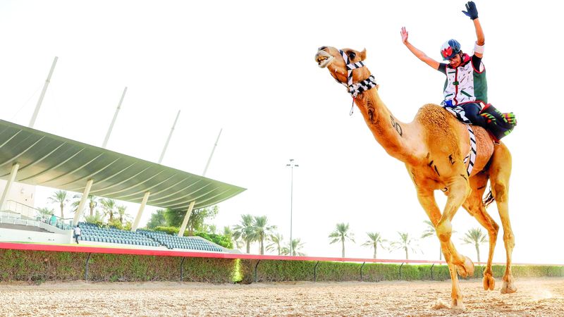 الامارات | سباق الهجن.. حماسة الأبناء لإرث الآباء والأجداد