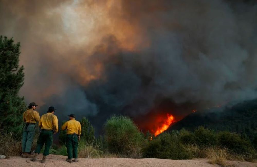وفاة موظف في حدائق نيويورك أثناء مكافحة حرائق