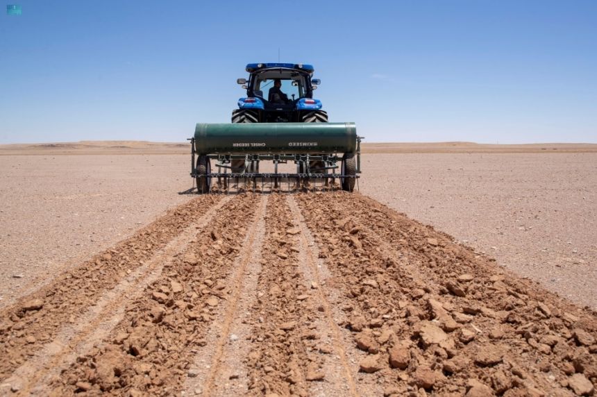 نثر 20 طنًا من البذور لإعادة تأهيل 15 ألف هكتار من المراعي الطبيعية