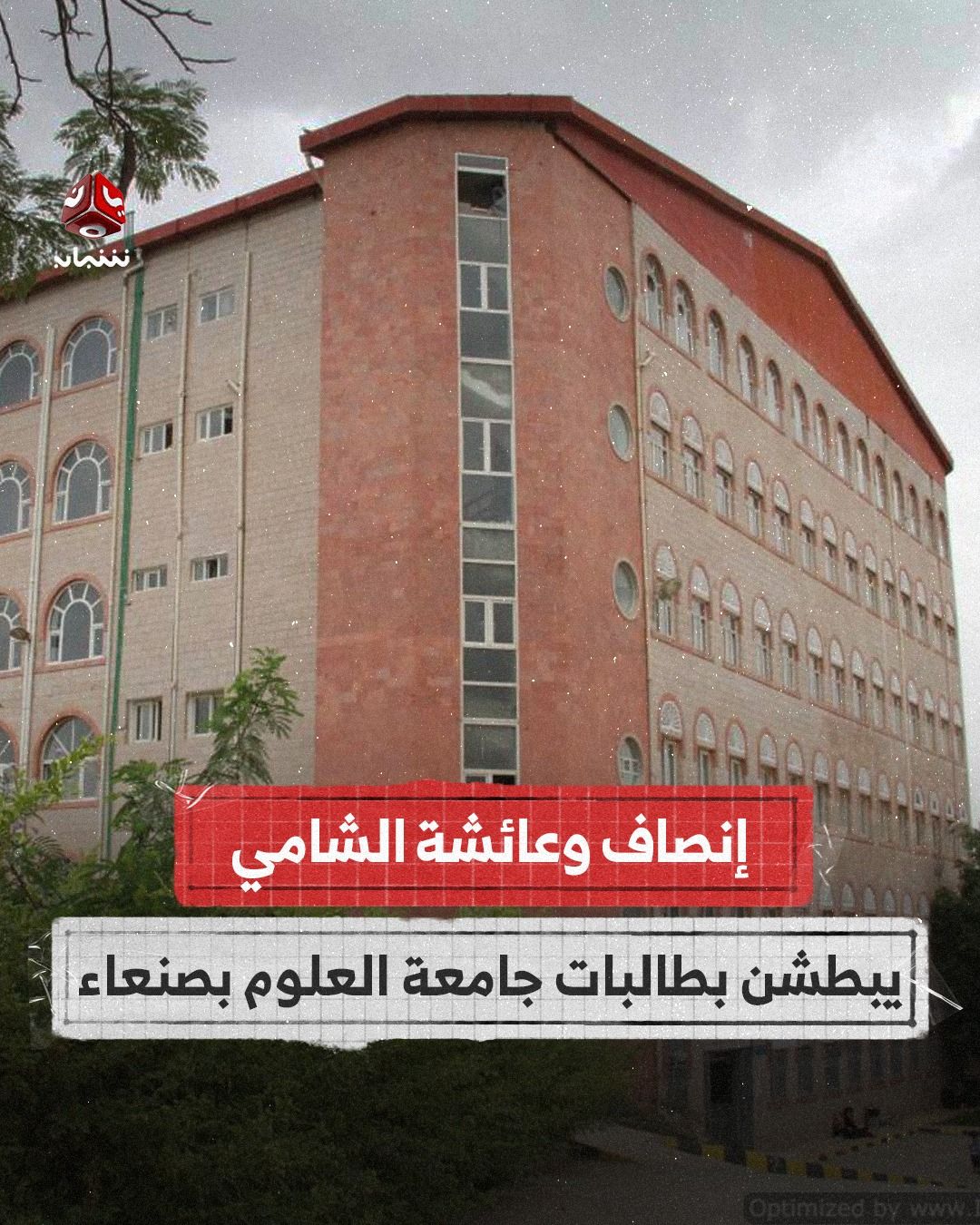 صنعاء.. زينبيات الحوثي يبطشن بطالبات جامعة العلوم والتكنولوجيا 