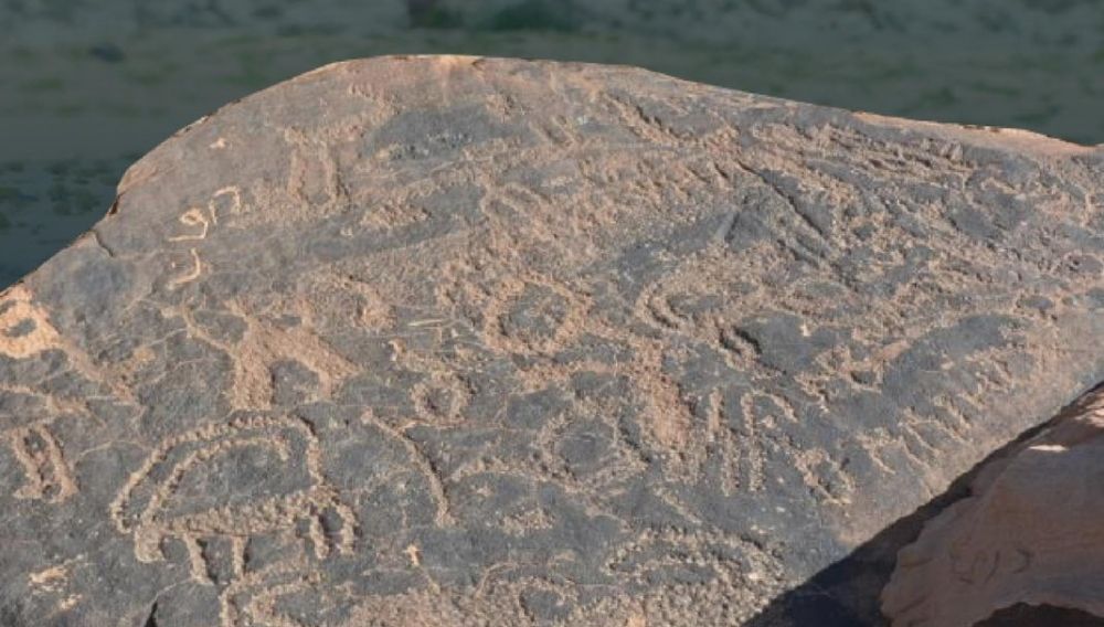 "التراث" تُعلن تسجيل 198 موقع أثري جديد في السجل الوطني للآثار بالمملكة