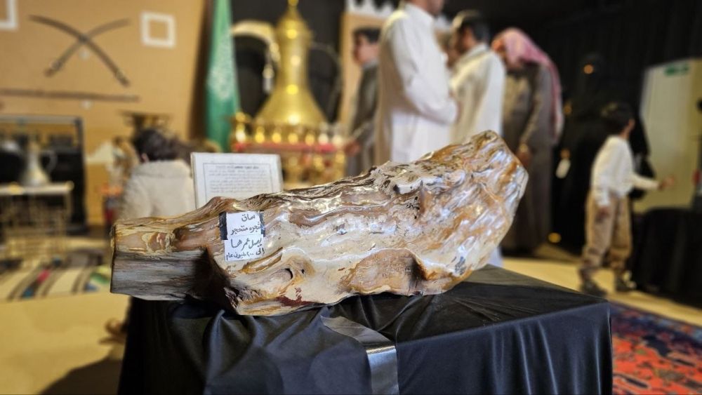 ساق شجرة متحجّرة تحمل أسرار تاريخ 200 مليون عام