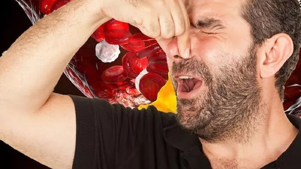 الامارات | إذا أردت تقليل الكوليسترول.. فعليك بهذه الفاكهة الخضراء