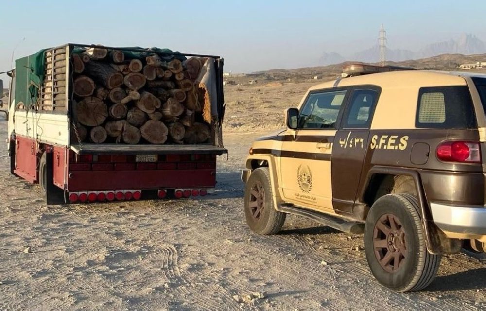 "الأمن البيئي" يحبط محاولة نقل حطب محلي في محمية الأمير محمد بن سلمان الملكية