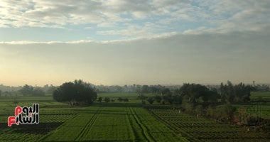 أخبار مصر.. غدا طقس معتدل نهارا بارد ليلا والصغرى بالقاهرة 17 درجة